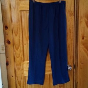 Haband Blue Poly Dress Pants 20P